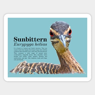 Sunbittern torpical bird black text Magnet